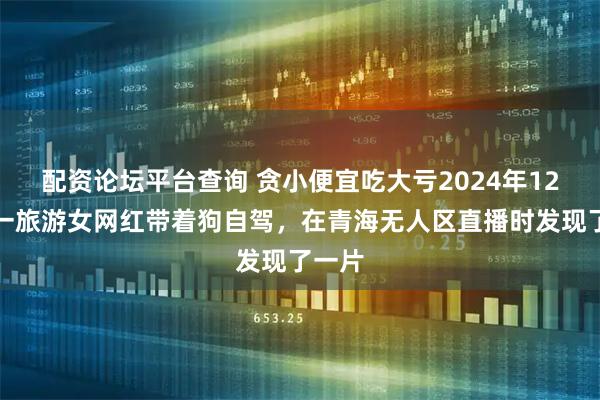 配资论坛平台查询 贪小便宜吃大亏2024年12月，一旅游女网红带着狗自驾，在青海无人区直播时发现了一片